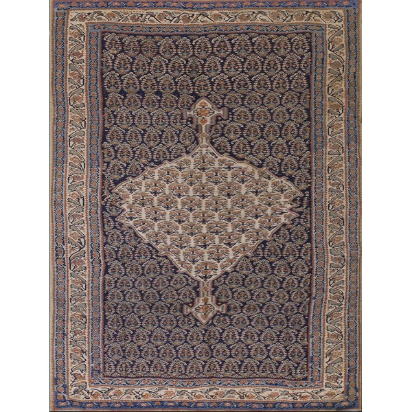19th Century W. Persian Senneh Paisley Kilim