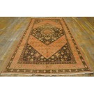 Early 20th Century Central Asian Khotan Carpet 