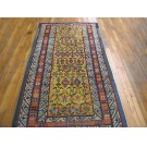 Caucasian- Chi Chi #17900