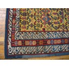 Caucasian- Chi Chi #17900