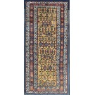 Caucasian- Chi Chi #17900