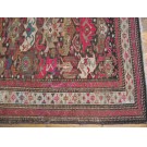 Caucasian - Bidjov #18005