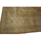 Early 20th Century N. Indian Agra Carpet