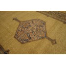 19th Century N.W. Persian Serab Carpet