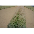 Art Deco - European #20-2005