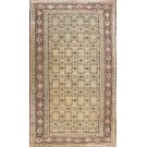 Late 19th Century Indian Agra Carpet