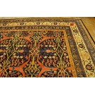 19th Century W.  Persian Senneh Garrus Carpet 