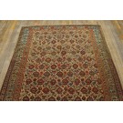 19th Century Persian Mishan Malayer Paisley Carpet