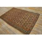 19th Century Persian Mishan Malayer Paisley Carpet