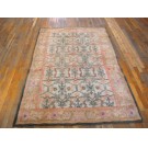Early 20th Century N. Indian Agra Cotton Carpet