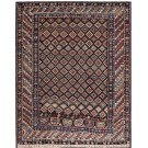 Caucasian - Shirvan #21416