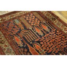 Early 20th Century N.W. Persian Carpet with 