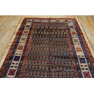 Late 19th Century N.W. Persian Paisley Gallery Carpet
