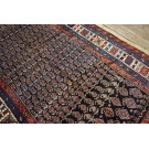 Late 19th Century N.W. Persian Paisley Gallery Carpet