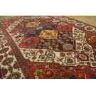 Bakhtiari #22306