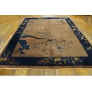 Chinese - Peking #23119