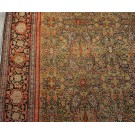 Late 19th Century W. Persian Senneh Carpet