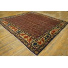 19th Century W. Persian Senneh Carpet