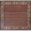 19th Century W. Persian Senneh Carpet