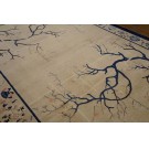 Chinese - Peking #23726