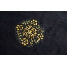 Chinese - Peking #23811