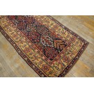 Mid 19th Century W. Persian Kurdish Shrub Runner Carpet
