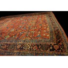 19th Century W. Persian Bijar Garrus Carpet