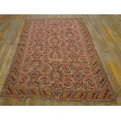 Kilim - Senneh #25046