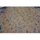 Chinese - Peking #25240