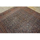 Mid 19th Century N.E. Persian Herat Carpet