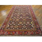 Caucasian - Shirvan #40-2811