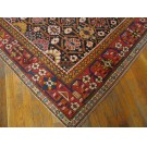 Caucasian - Shirvan #40-2811