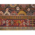 Caucasian - Shirvan #40-2811