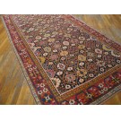 Caucasian - Shirvan #40-2811