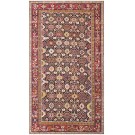 Caucasian - Shirvan #40-2811