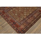 Caucasian - Shirvan #40-4126