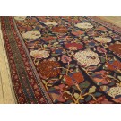 Caucasian - Karabagh #40-4215