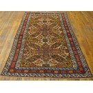 Caucasian - Zeichur #40-4228