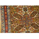 Caucasian - Zeichur #40-4228