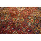Early 20th Century E. Persian Khorassan Moud Carpet with Garden Design