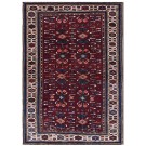 Caucasian - Kuba #6583