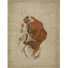 Mid 20th Century Ecuadorian Carpet Designed by Olga Fisch