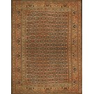 Mid 19th Century N.E. Persian Khorassan Moud Carpet
