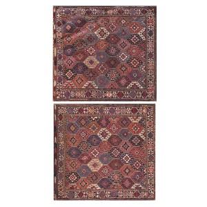 Caucasian - Sumak #6808