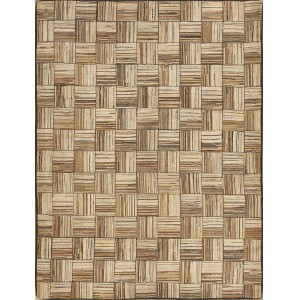 American Hooked Rug #17336