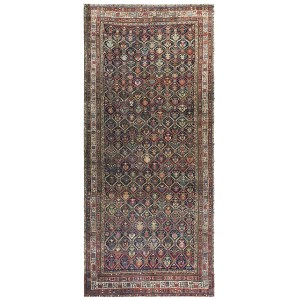 Caucasian - Karabagh #24258