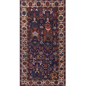 Caucasian - Bidjov #20973