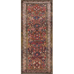 Caucasian - Zeichur #21727